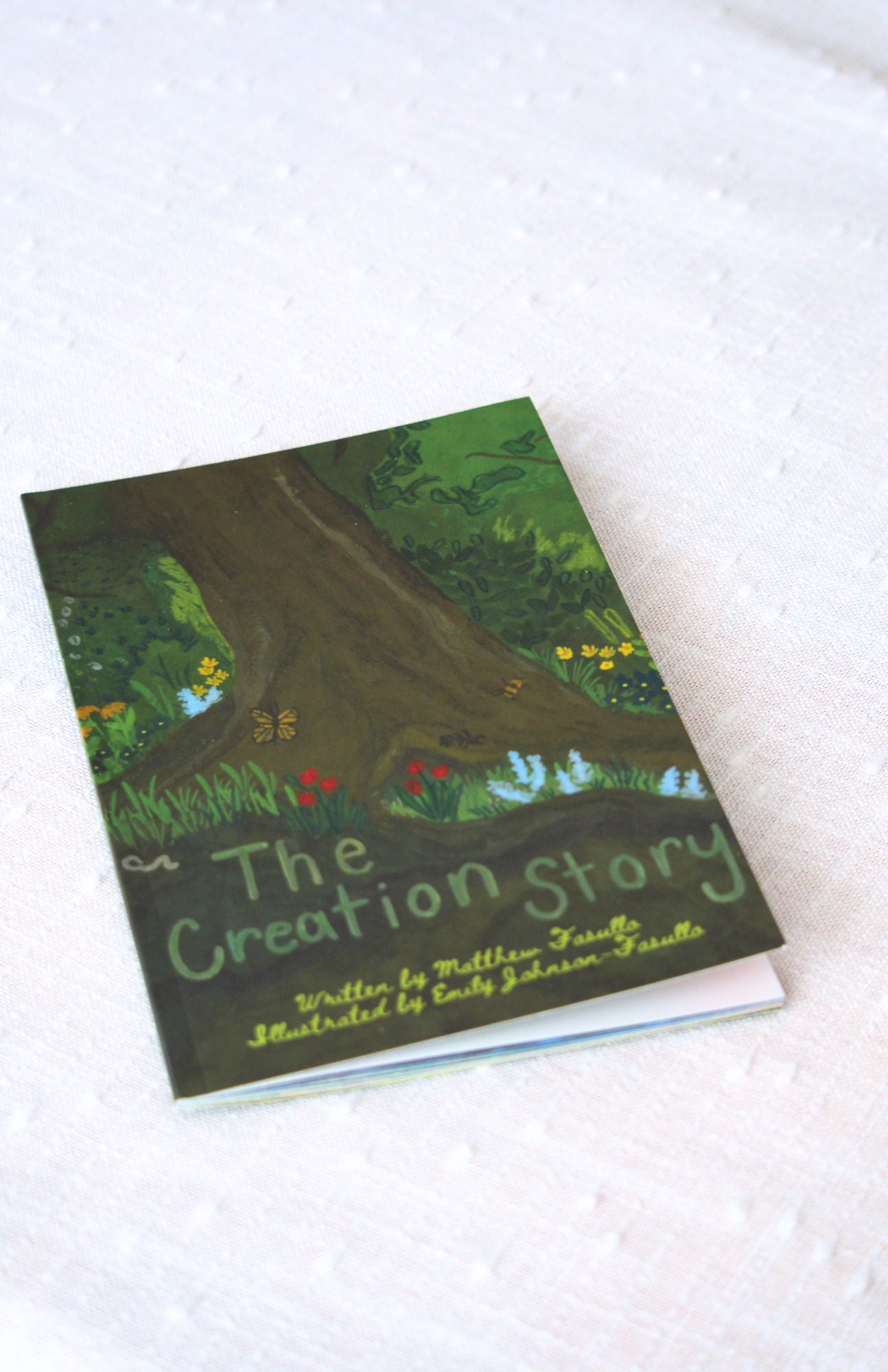 The Creation Story: Soft Cover