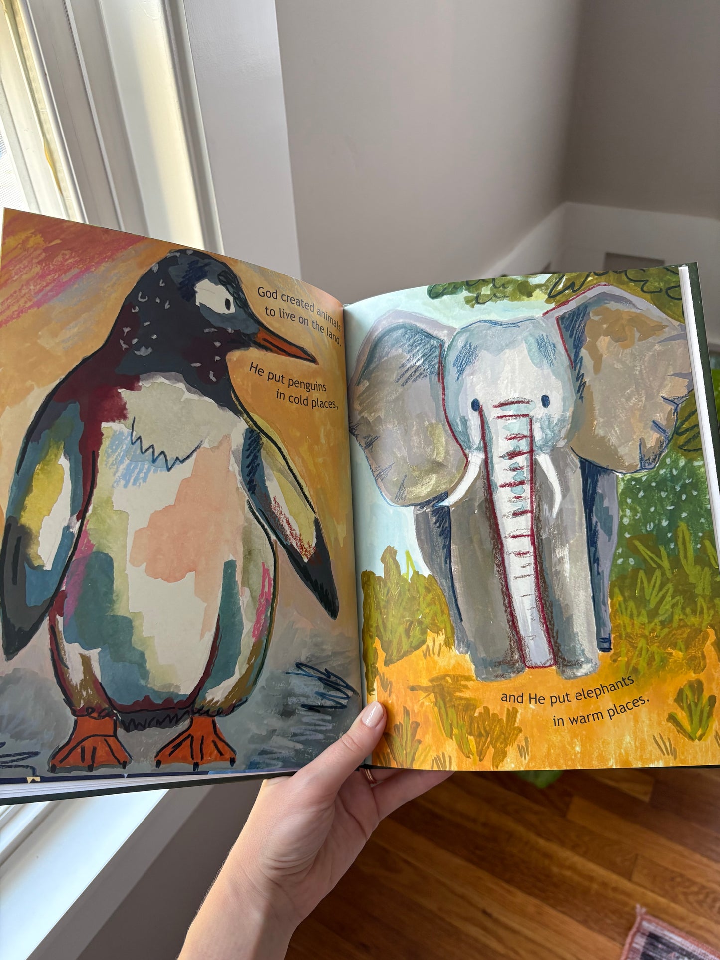 The Creation Story Hardcover