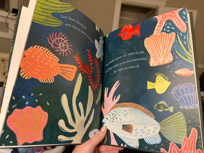 The Creation Story Hardcover