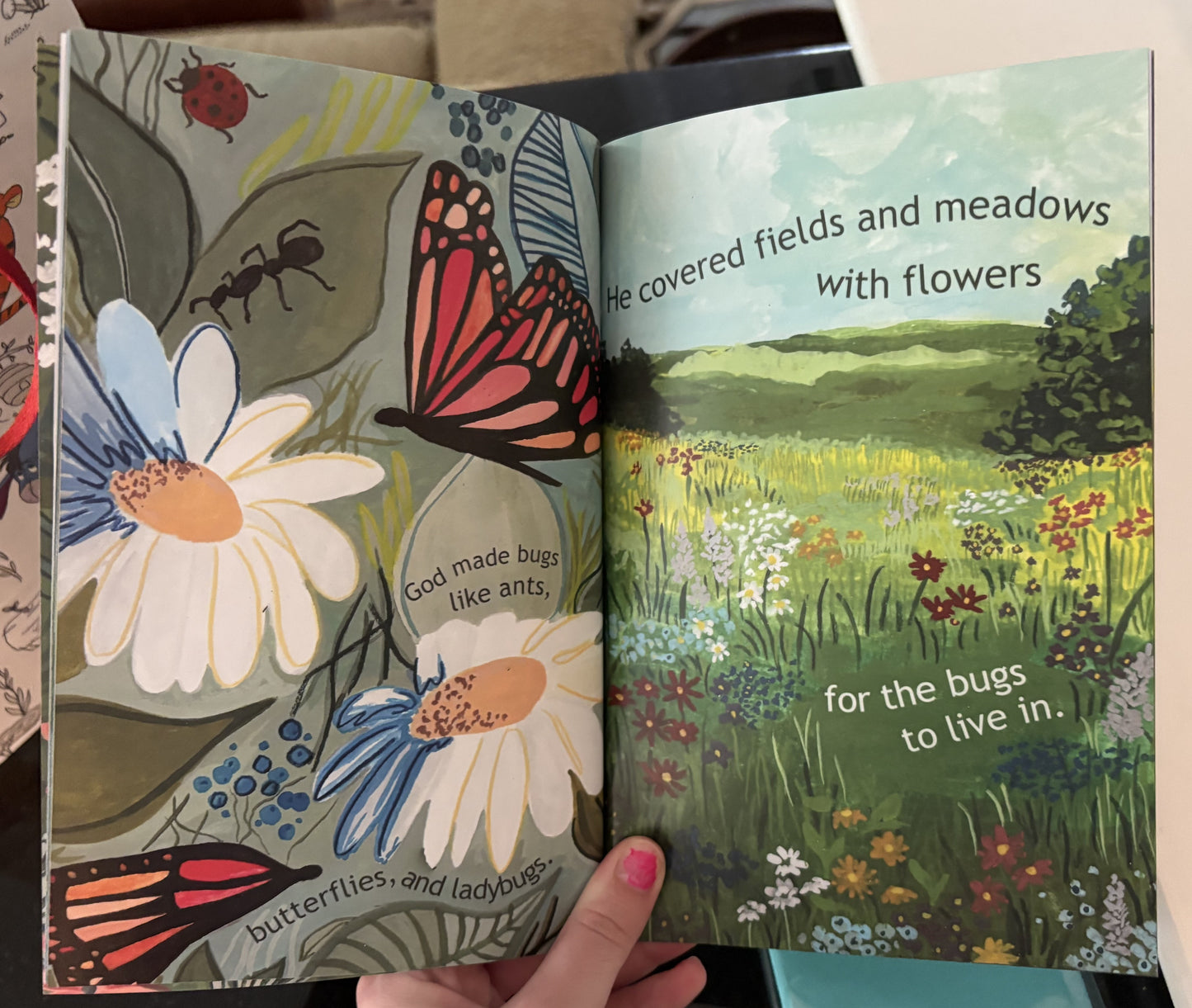 The Creation Story: Soft Cover