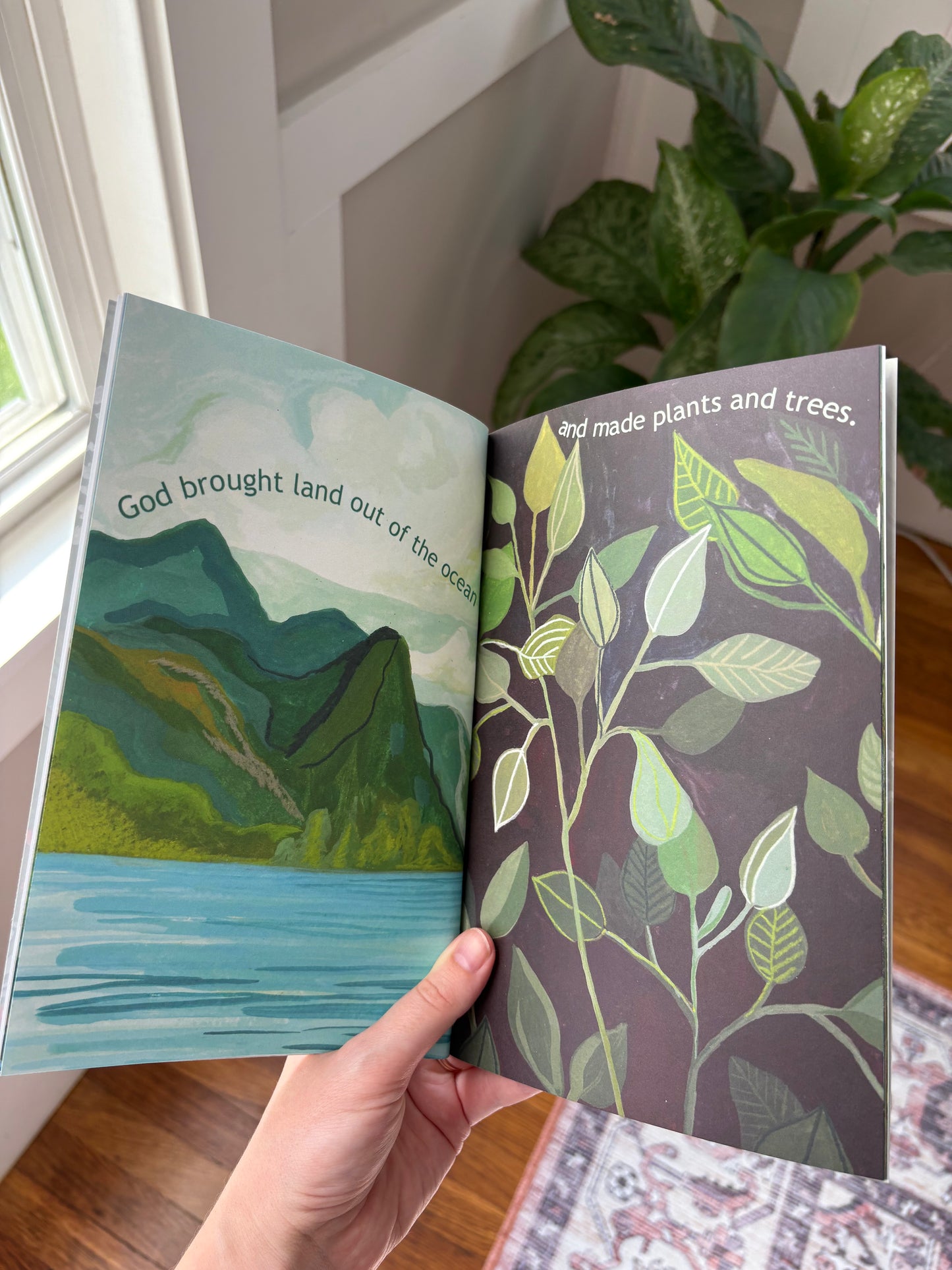 The Creation Story: Soft Cover