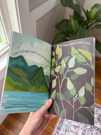 The Creation Story: Soft Cover