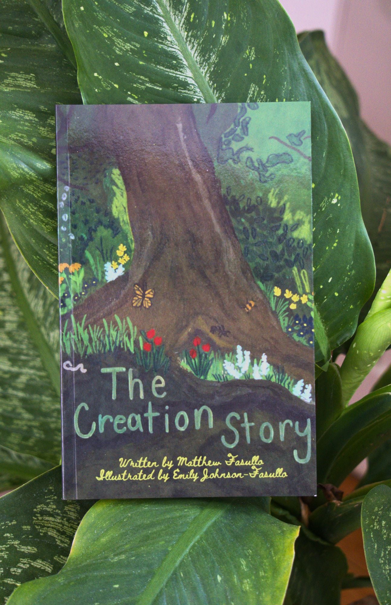 The Creation Story: Soft Cover
